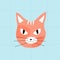 Red-headed angry cat. Head of ginger grumpy cat with big angry eyes. Cat head cartoon on a blue background.