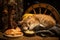 A red-headed cat sleeps peacefully on a wooden table in a cozy, rustic kitchen