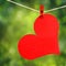 Red Heart with Clothespin Hanging on Clothesline over Nature