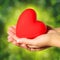 Red heart in female hands, over Nature Green Sunny