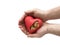 Red heart with golden coins in hands over white background