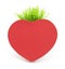 Red heart with grass stalk