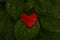 Red heart in green leaves with rain drops. Love planet ecology concept