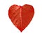 Red heart leaf