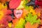 Red heart on Maple Leaves Mixed Fall Colors Background