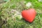 Red heart on moss. in the forest. Love concept