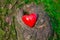 Red heart in the moss in the woods