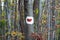 Red Heart painted on a tree. Signal for mountineers and hikers. 01