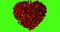 Red heart of rose petals flying with vortex on chroma key, green screen background