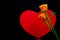 Red heart shape gift box and caribbean flaming orange roses on dark background