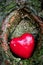 Red heart in a tree hollow. Romantic love