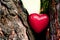 Red heart in a tree trunk. Romantic love