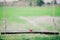 Red heart on wooden swing at rice-fields