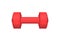 Red Heavy Dumbbell with Round Cylindrical Handle