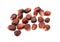 Red heirloom sweetcorn seeds