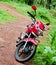 Red Hero Honda Motor Bike