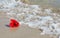 Red hibiscus on the beach