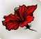 Red hibiscus, hand-drawing. Vector illustration.