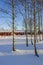 Red holiday cottages in a winter landscape in a birch grove