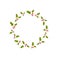Red holly berries raceme wreath. Christmas garland good for greeting cards