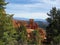 Red Hoodoos, Cliffs and Evergreen Trees Near Bryce Canyon Utah