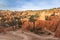 Red hoodoos on Fairyland Trail in Bryce Canyon