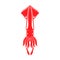 Red hooked squid with suctions, red seafood