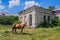 Red horse in front abandoned building in Tulchyn