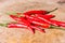 Red hot bird chili pepper nature background