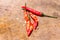 Red hot bird chili pepper nature background