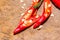 Red hot bird chili pepper nature background