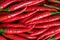 Red hot chili pepper background. Flat lay. Red ripe peppers with green stems, top view. Spicy seasoning close up. Food