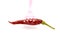red hot chili pepper on a disposable fork