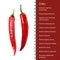 Red hot chili pepper pod realistic image vector illustration