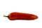 Red hot chili pepper with water drops isolated