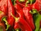 Red hot chili peppers background