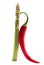 Red hot chilli and asparagus spear free standing