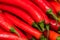 Red hot chilli peppers, close up. Background of red chilies