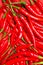 Red hot chilli peppers texture backdrop, close up photography of spicy vegetable for farm veggies market