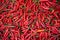 Red hot Chillies on sale