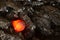 Red hot coal bar in focus on other cold raw bars of coal. Background of raw coal nuggets with soft focus