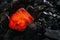 Red hot coal nugget on focus on other cold raw nuggets of coal. Background of raw coals with soft focus exclusion with color and t