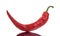 Red hot curved chili pepper