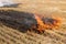 Red hot fire on farmland, dry straw burns, toxic smoke, danger to the environment and people, concept