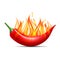 Red hot flaming chili pepper pod. Design for culinary products, spice package, recipe or cooking book.