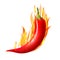 Red hot flaming chili pepper pod. Design for culinary products, spice package, recipe or cooking book.