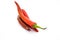 Red hot natural chili pepper isolated