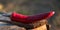 Red hot pepper on a natural background lies on a wooden box in the open air.