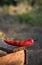 Red hot pepper on a natural background lies on a wooden box in the open air.