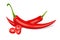 Red hot sliced chili pepper. Realistic style illustration.